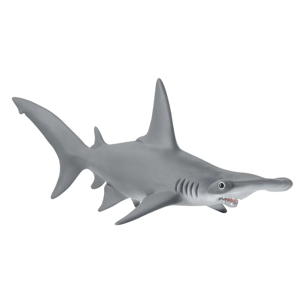 Hammerhead Shark