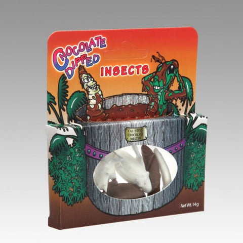 Chocolate Dipped Insects