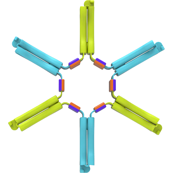 Nockles "Loop"