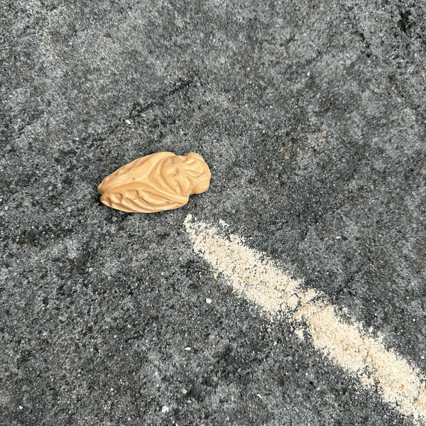 Pocket Cicada Chalk