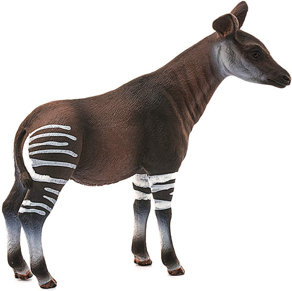 Okapi