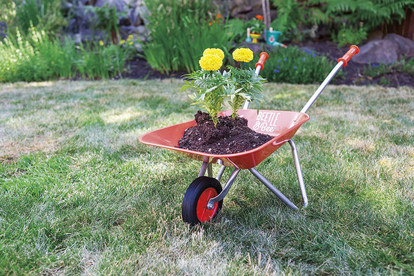 Kids Wheelbarrow