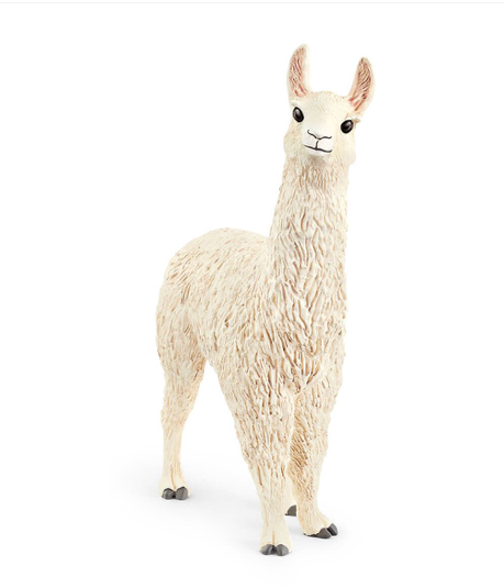 Llama