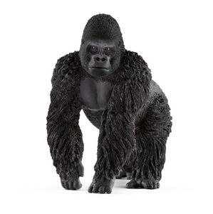 Gorilla Male