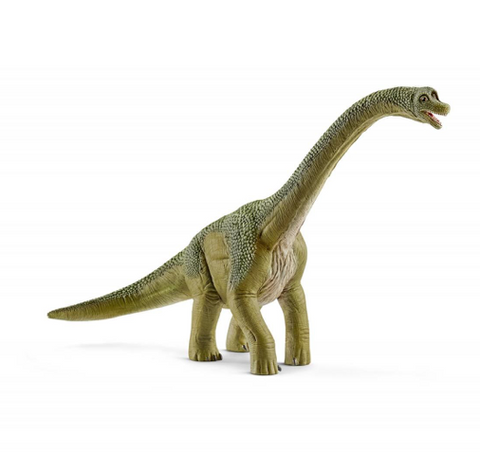 Brachiosaurus