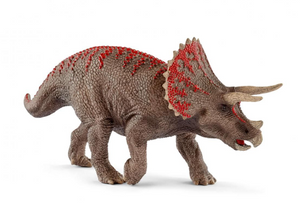 Triceratops