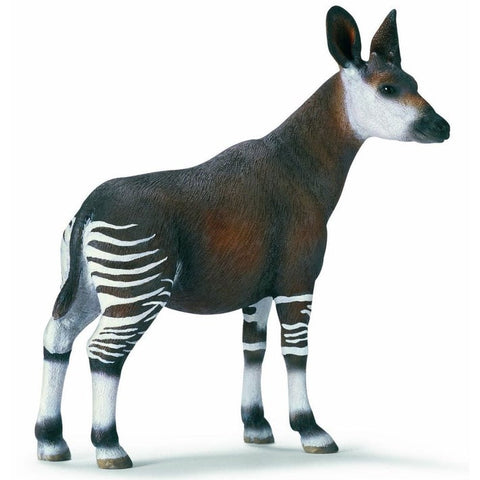 Okapi