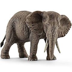 African Elephant